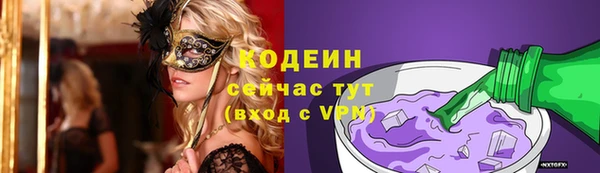 ПСИЛОЦИБИНОВЫЕ ГРИБЫ Бородино