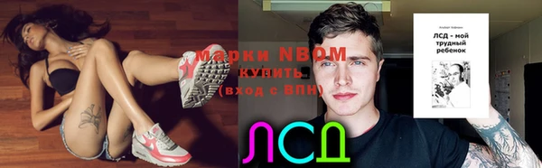 бошки Бронницы