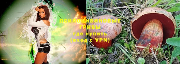 ПСИЛОЦИБИНОВЫЕ ГРИБЫ Бородино
