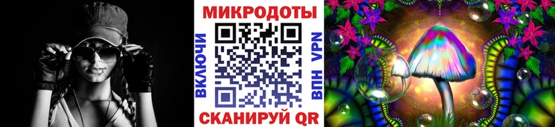 Галлюциногенные грибы прущие грибы  Выборг 