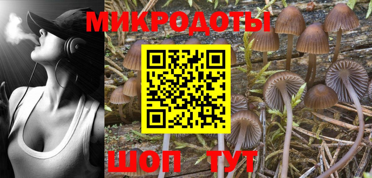 Выборг  Галлюциногенные грибы Psilocybine cubensis  Вход с VPN 
