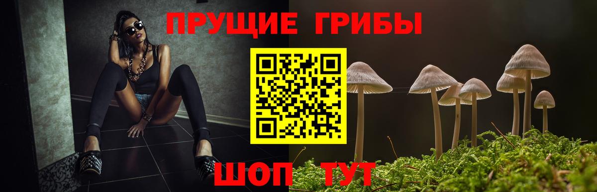 Галлюциногенные грибы мухоморы Выборг